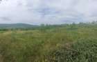 Teren deosebit 11.000 mp + livada de nuci | Parscov Magura, Buzau | ideal pensiune glamping - 1