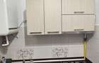 Apartament de inchiriat cu doua canere - 1
