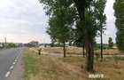1000 mp intravilan construibil - 7