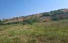 Vand teren comuna Mischii, sat Calinesti - 3