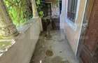 Casa boiereasca autentica, cu poveste ?i poten?ial de r - 2