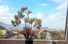SPATIU COMERCIAL-Cladire P+2- Investitie la cheie in DEVA - 13