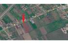 Vand teren intravilan 1064 mp - Com Merei strada Toamnei - 1