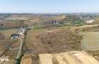 Teren extravilan de 4.750 mp la aprox. 500 m de Centura Ia?i