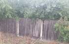 Casă cu 3 camere cu Teren 1186 Mp în Bala - 2