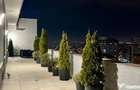 Penthouse Mihai Bravu - 1