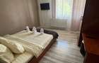 Vila, pensiune P+2+M de vanzare in Predeal - 1