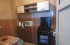Apartament Vatra Dornei - 3