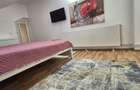 PRIMA INCHIRIERE Apartament in centrul istoric Sibiu - 10