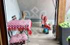 Casa P+M cu teren 2500 mp in Cheriu, Bihor - 14