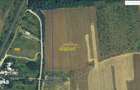 Teren intravilan Peris 10.000 mp pt complex de case, Comision 0 - 4