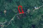 Teren intravilan de vanzare in Telega - 14