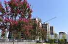 2 Camere Decomandat | Complex Privat | Aproape de West Gate - 3