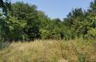 Teren intravilan de 1.470 mp cu padure in spate si priveliste spre vale, la 1h30 de Bucuresti - 1