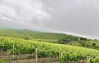 Vand Teren Extravilan in localitatea Jugureni - 3