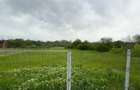 Proprietate Mihaesti Jud Olt 4000mp - 4