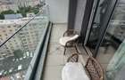 Central Adress Residence Filaret Trafic Greu 2025 Unirii 10 min superb - 12