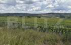 Teren intravilan in localitatea Bobota in suprafata de 11500 mp - 5