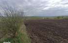 Teren intravilan Comarna, ID: R3075287 - 1
