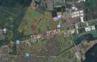 Ghiroda - Teren extravilan pt PUZ - S: 10.000 mp - 1