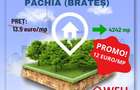 De vânzare teren intravilan în Pachia! - 1
