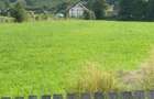 Teren Frasin 6000 m2 - 5
