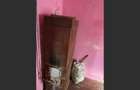 Casă cu 2 camere cu Teren 657 Mp în Calea Timișoarei - 8