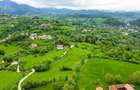 Teren agricol de 11000 mp, în Bran - 13