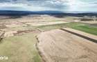 Teren 5 hectare de vanzare prejmer Brasov