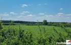 Teren extravilan 3,56 hectare in Dorolt ( ID 22873) - 4