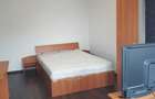 Apartament cu o camera in zona Dambovita - 2