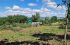 Teren Construcții de 1000 mp, în Aroneanu - 3