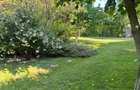 Zona Ghencea Sos Alexandriei Domeniu privat 2090mp cu piscina - 8
