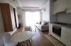 Apartament tip studio de inchiriat in Cosmopolis - 6