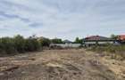 Teren intravilan 1000 mp - Domnesti - 4
