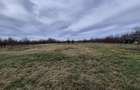 Teren Construcții de 18000 mp, în Urleta - 23