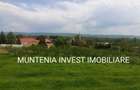Proprietate de vanzare tip ferma, teren 28150 mp. Balilesti, Arges - 13
