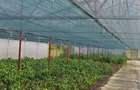 Afacere la cheie - hala productie- sera- birou - 8