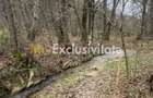 Teren intravilan 6.500 m2Deschidere 144 ml drum european E81, km 35, Moraresti - Moraresti (Arges)