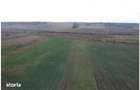 Teren Albesti, Vaslui, ID: R2893960 - 2