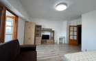 Apartament 1 camera 44 mp - 3