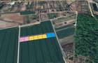 Loturi de teren la padure | 500-1000mp | Izvorani- Snagov - 3