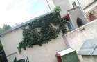 Casă cu 2 camere în Ferdinand - 2
