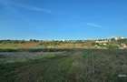 1 ha teren zona Curtesti - Bucovina - 3