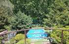 Exclusivitate / Iancu Nicolae-Pipera, vila cu piscina, langa padure - 11