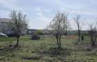 vand 500 mp intravilan la 3km de ramada - 3