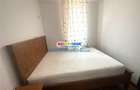 Apartament 2 camere Mobilat Utilat, Ilie Petre, 300 Euro - 9