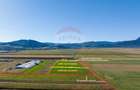 Teren agricol intravilan de 7500 mp, în Tărlungeni - 4