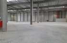 Spațiu industrial, de 3,500 mp, în Vest - 2