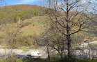Teren de vanzare Valea Doftanei, Traisteni - 5